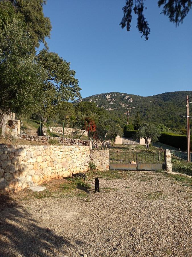 La Bergerie Villa Bargemon ภายนอก รูปภาพ